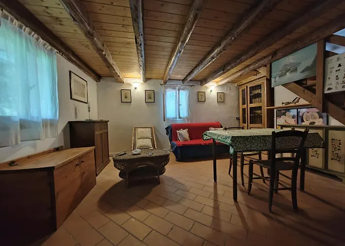 Molina House